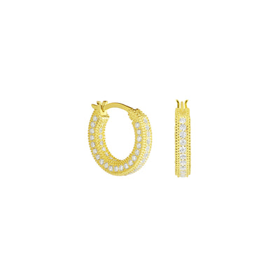 Brilliant zirconia earrings